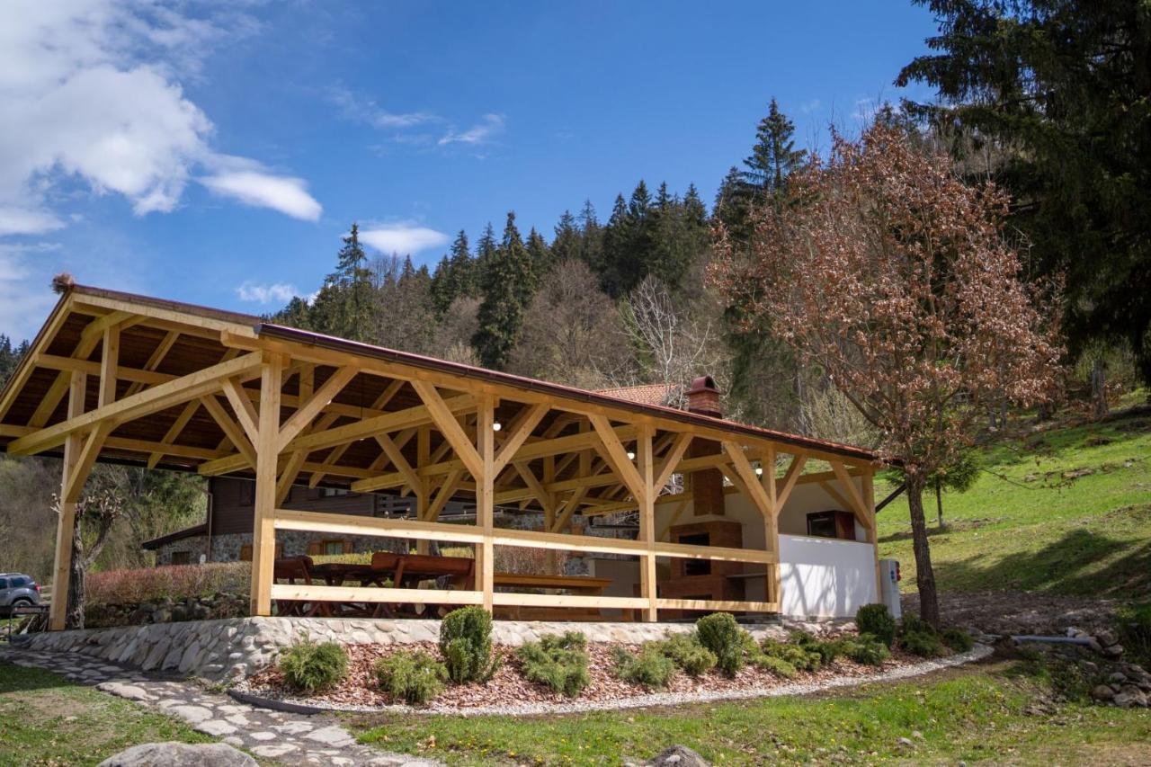 3A Guest House Sicasău 外观 照片