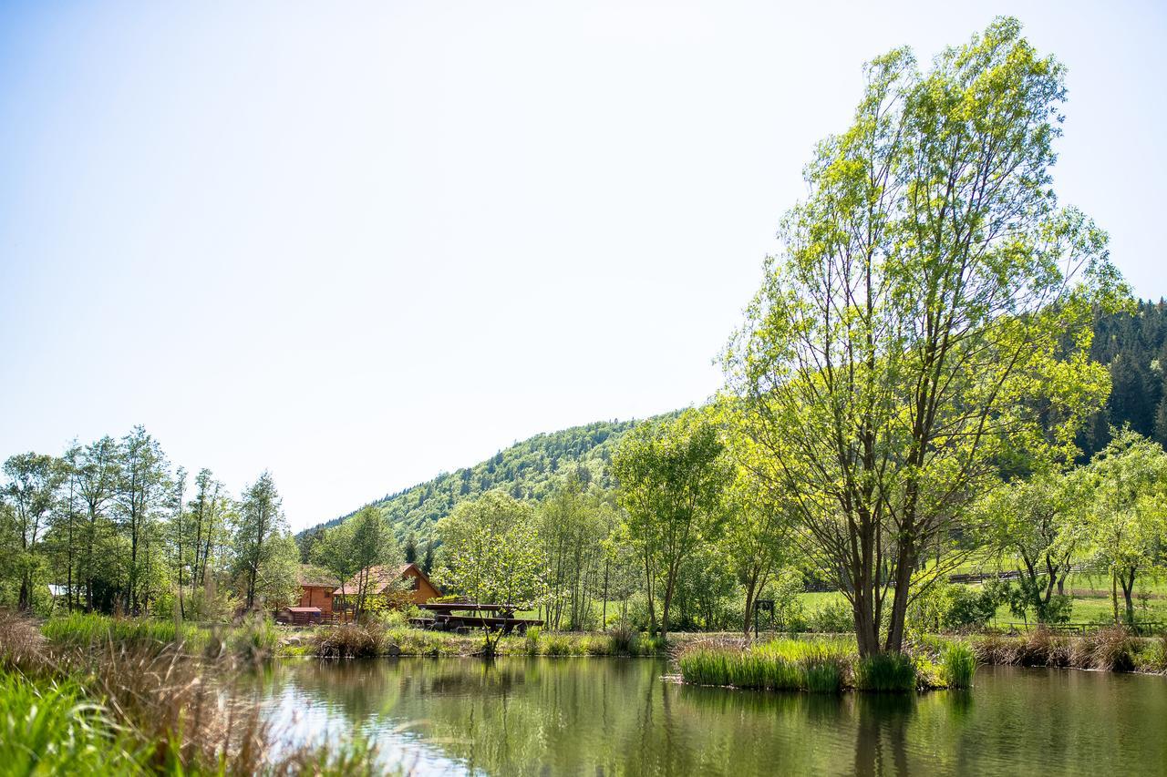 3A Guest House Sicasău 外观 照片
