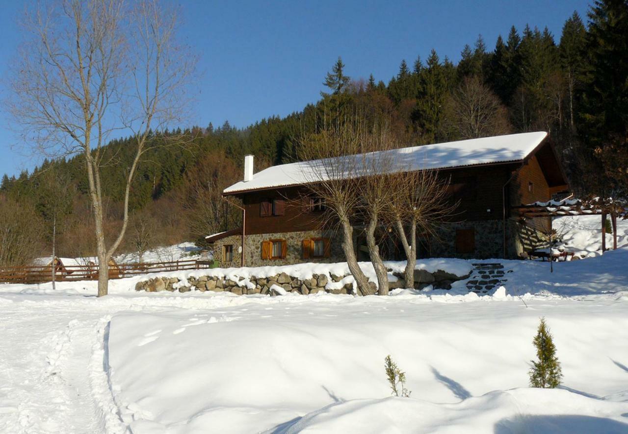 3A Guest House Sicasău 外观 照片