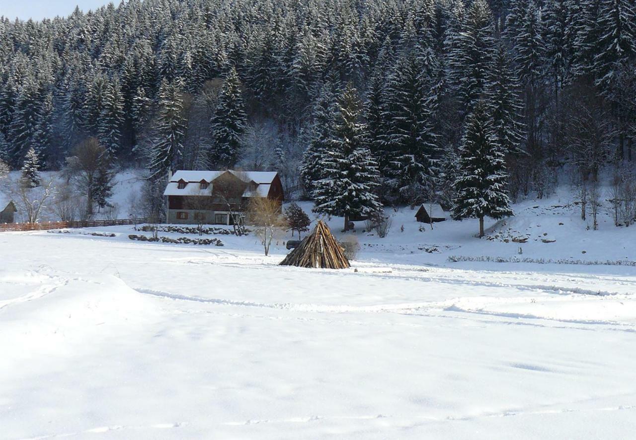 3A Guest House Sicasău 外观 照片